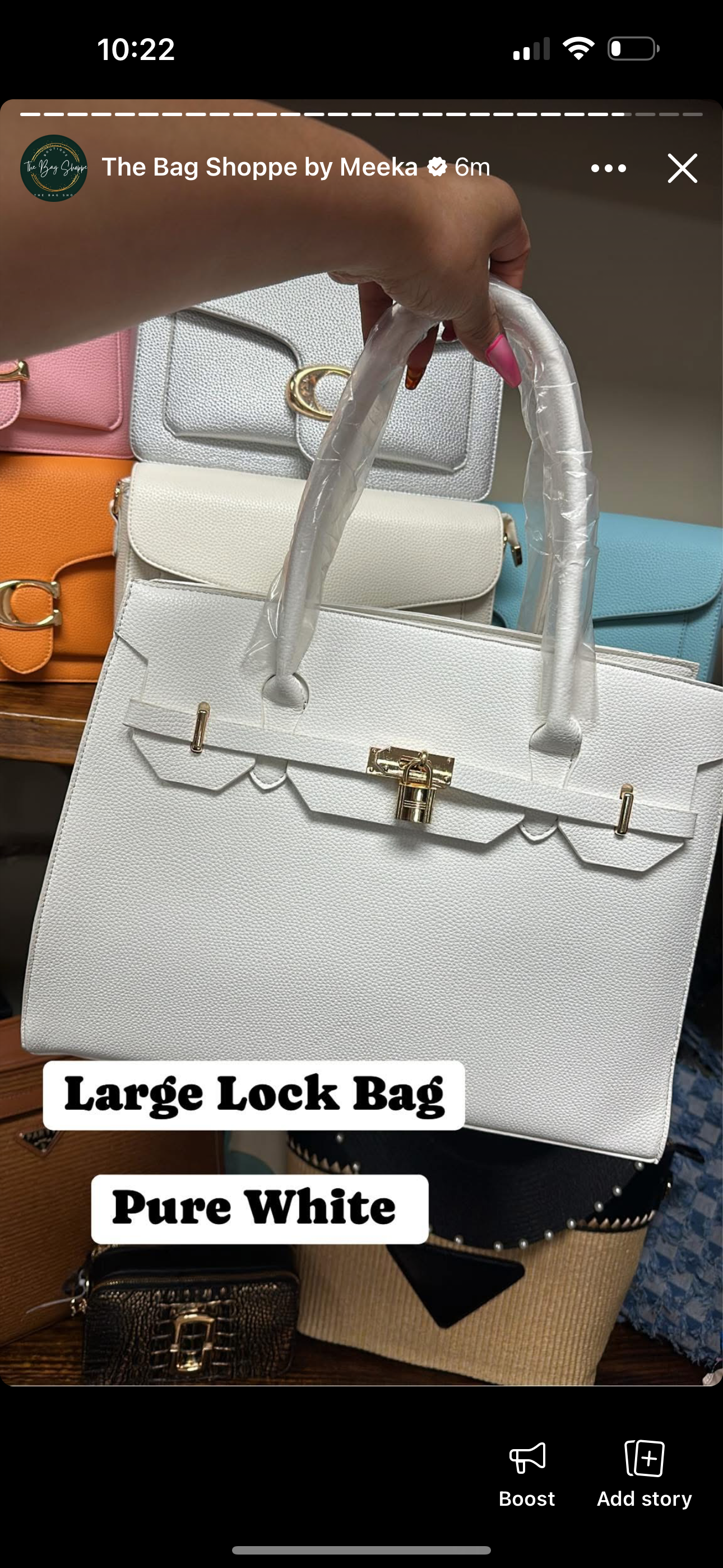 Lock Handbag & Wallet _ Large