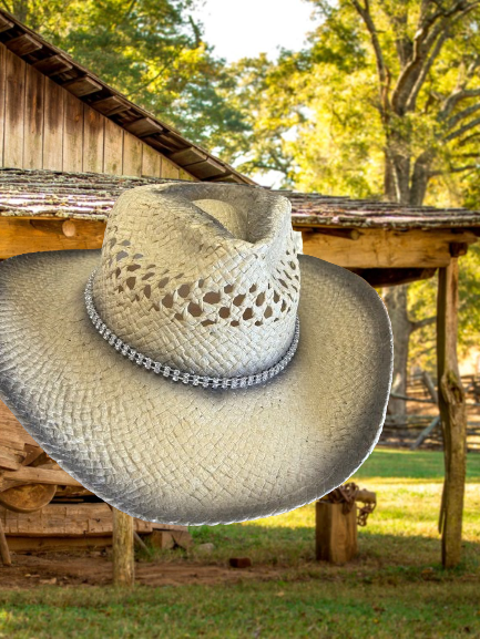 Rodeo Cow Boy Fedora