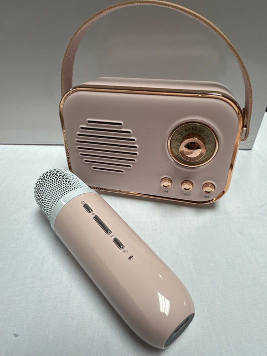 KAROKE SPEAKER AND MIC